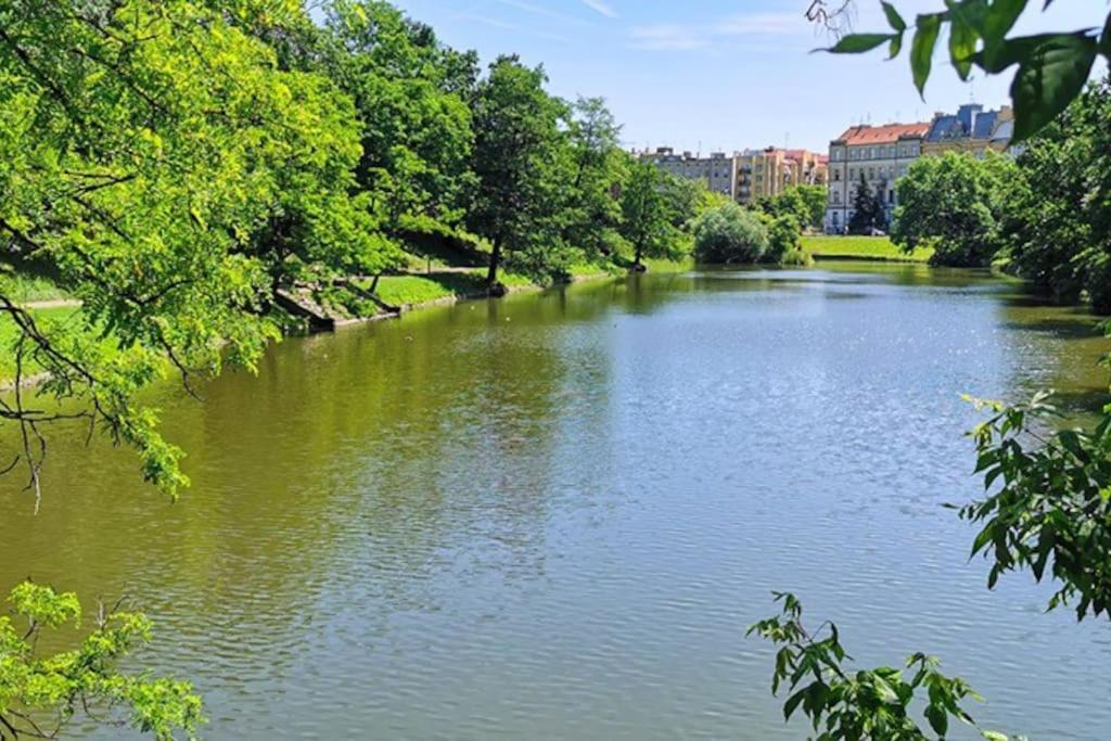 Appartamento Parkowy Apartament Breslavia Esterno foto