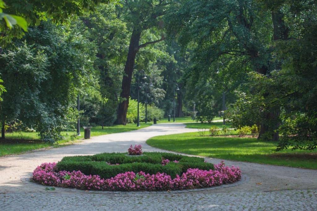 Appartamento Parkowy Apartament Breslavia Esterno foto